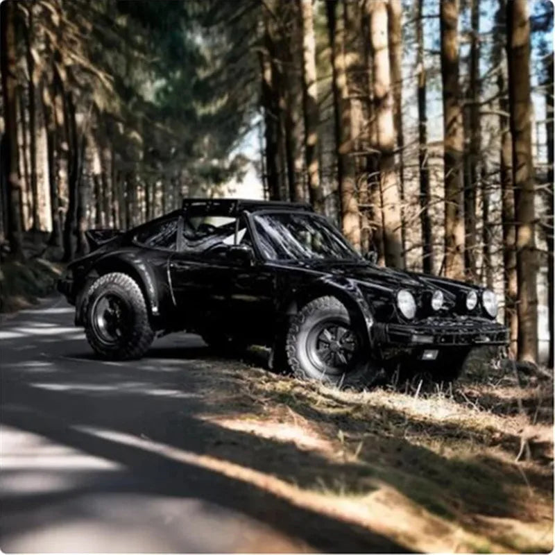 1/10 Scale RC Rally Car - High-Performance Electric Remote-Control Car