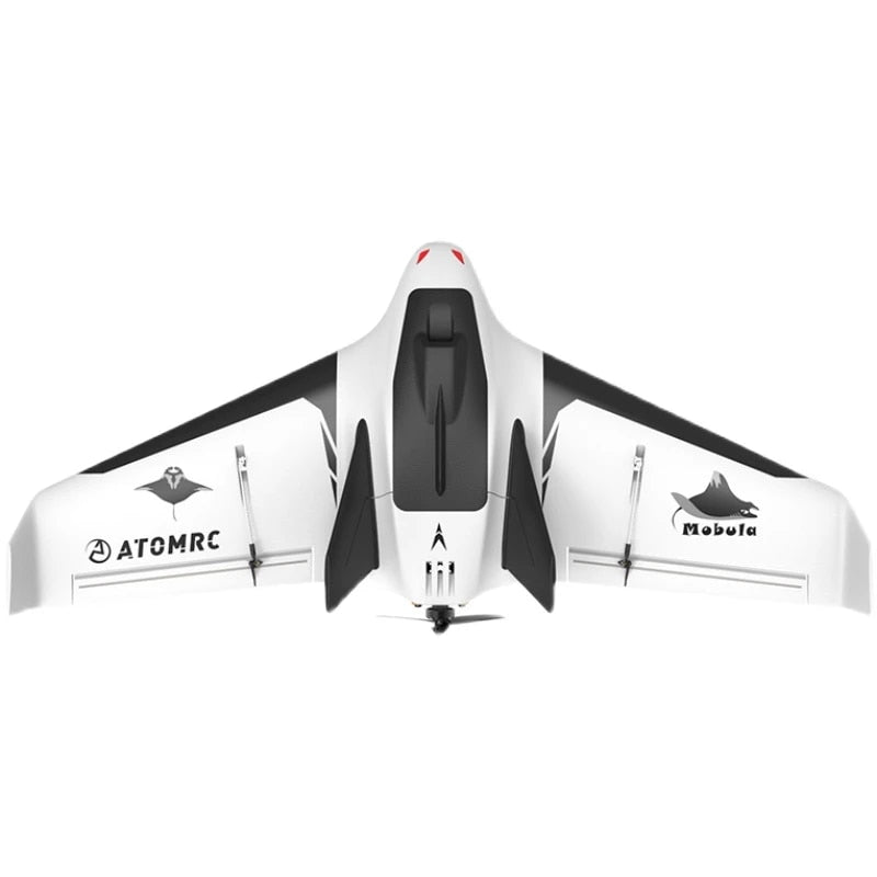 Mini fixed wing plane